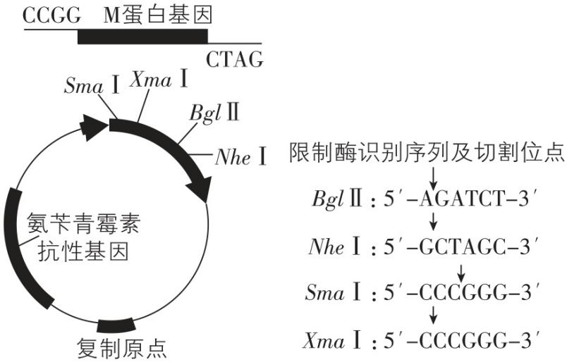 试题资源网 https://stzy.com