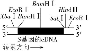 试题资源网 https://stzy.com