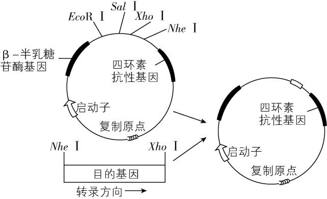 试题资源网 https://stzy.com