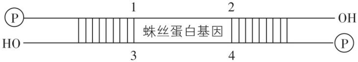 试题资源网 https://stzy.com