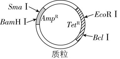 试题资源网 https://stzy.com