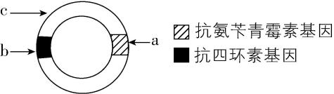 试题资源网 https://stzy.com