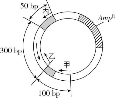 试题资源网 https://stzy.com