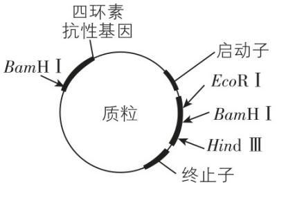 试题资源网 https://stzy.com