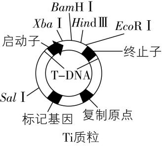 试题资源网 https://stzy.com