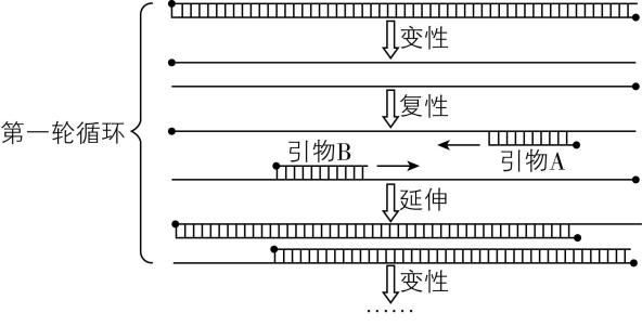 试题资源网 https://stzy.com