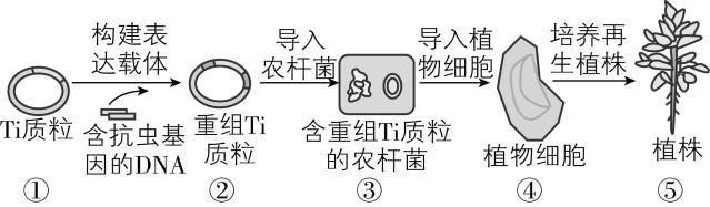 试题资源网 https://stzy.com