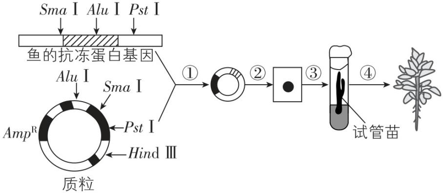 试题资源网 https://stzy.com