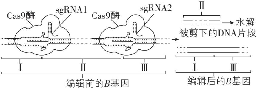 试题资源网 https://stzy.com