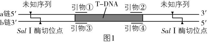 试题资源网 https://stzy.com