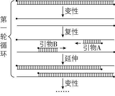 试题资源网 https://stzy.com