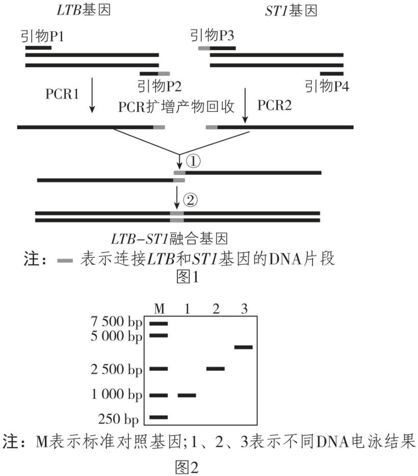 试题资源网 https://stzy.com
