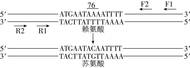 试题资源网 https://stzy.com