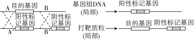试题资源网 https://stzy.com