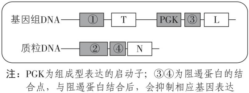 试题资源网 https://stzy.com