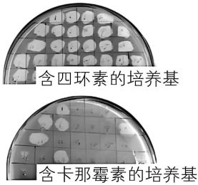 试题资源网 https://stzy.com