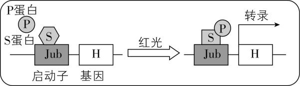 试题资源网 https://stzy.com