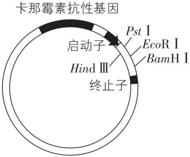 试题资源网 https://stzy.com