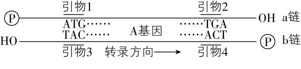 试题资源网 https://stzy.com