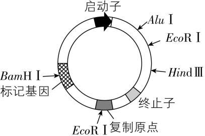 试题资源网 https://stzy.com
