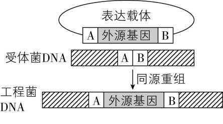 试题资源网 https://stzy.com
