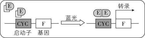 试题资源网 https://stzy.com