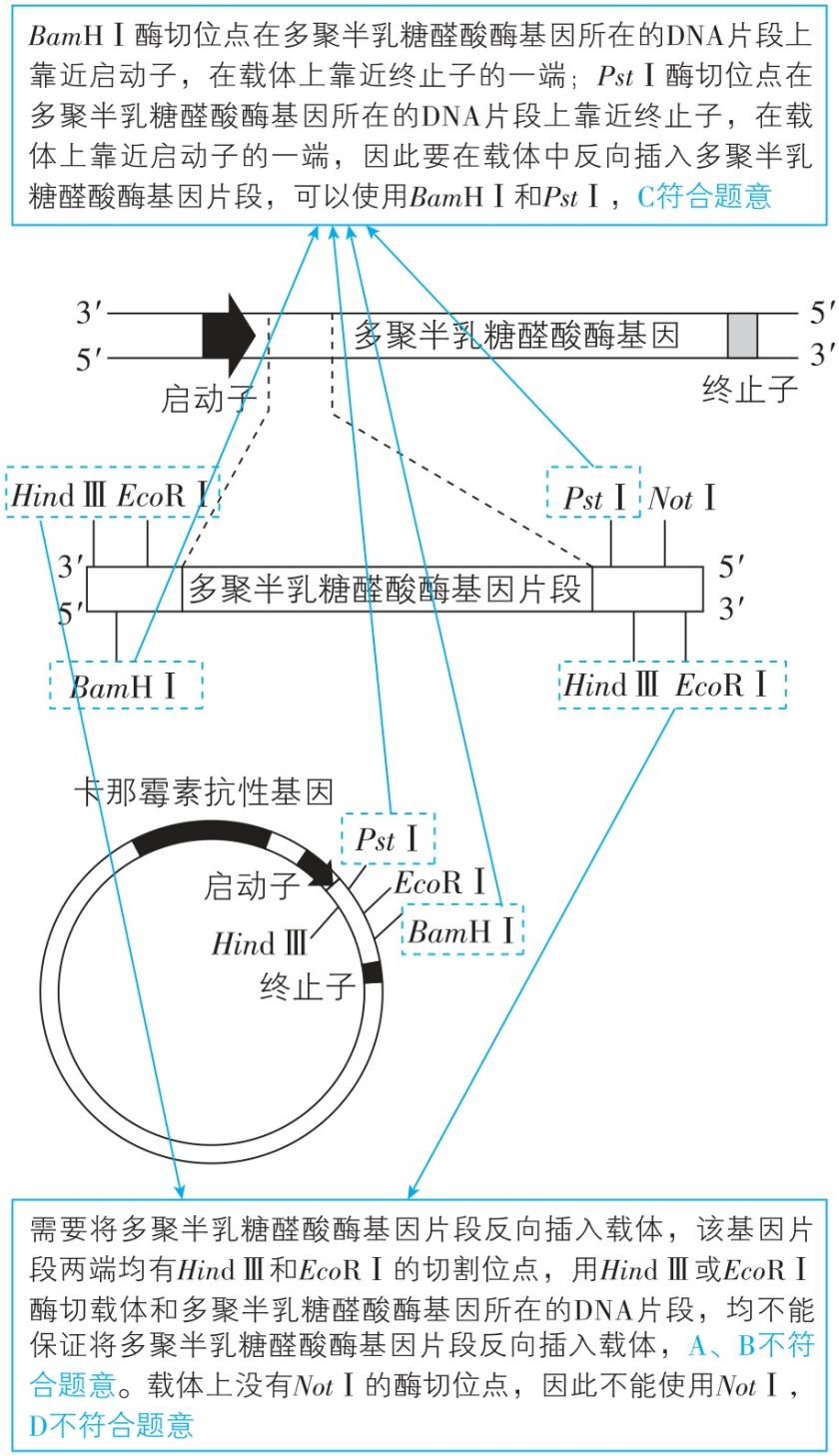 试题资源网 https://stzy.com
