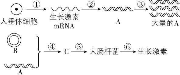 试题资源网 https://stzy.com