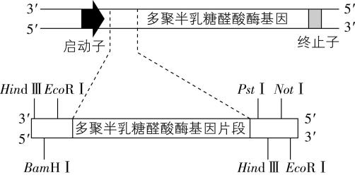 试题资源网 https://stzy.com