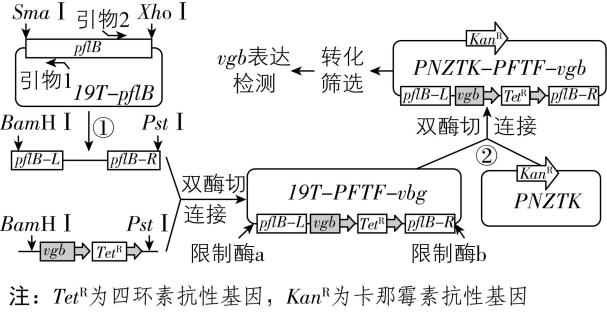 试题资源网 https://stzy.com