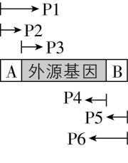 试题资源网 https://stzy.com