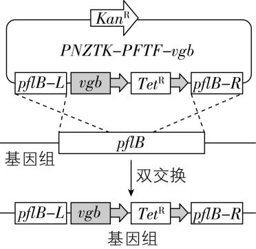 试题资源网 https://stzy.com