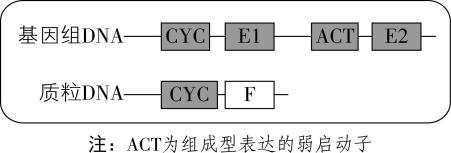 试题资源网 https://stzy.com