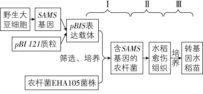 试题资源网 https://stzy.com