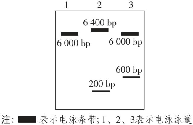 试题资源网 https://stzy.com