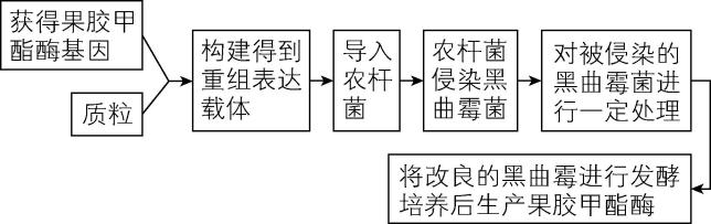 试题资源网 https://stzy.com