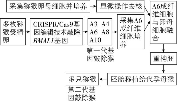 试题资源网 https://stzy.com