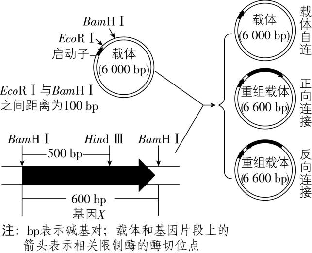 试题资源网 https://stzy.com