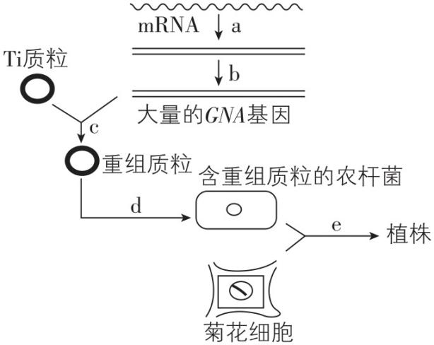 试题资源网 https://stzy.com