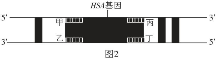 试题资源网 https://stzy.com