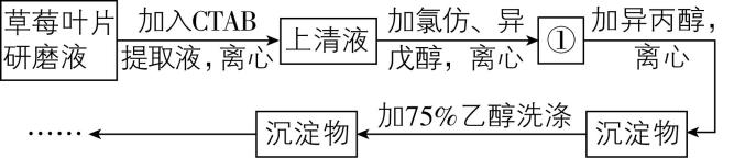 试题资源网 https://stzy.com