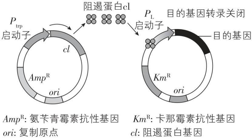 试题资源网 https://stzy.com