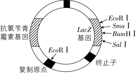 试题资源网 https://stzy.com