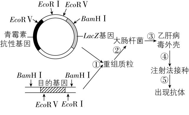 试题资源网 https://stzy.com