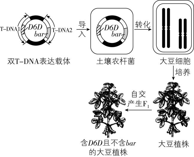 试题资源网 https://stzy.com