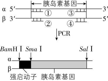 试题资源网 https://stzy.com