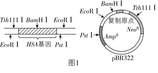 试题资源网 https://stzy.com