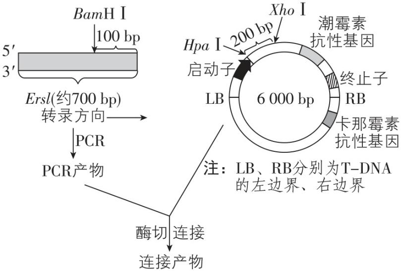 试题资源网 https://stzy.com