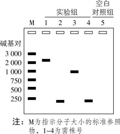试题资源网 https://stzy.com