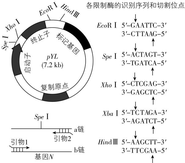 试题资源网 https://stzy.com